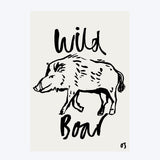 Wild Boar