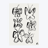 The Butterflies