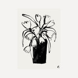 Tulips - In Black