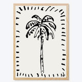 The Coconut Palm