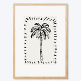 The Coconut Palm