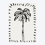 The Coconut Palm