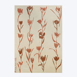 Terracotta Tulips