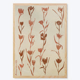 Terracotta Tulips