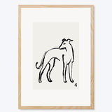The Whippet