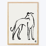 The Whippet