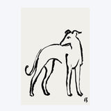 The Whippet