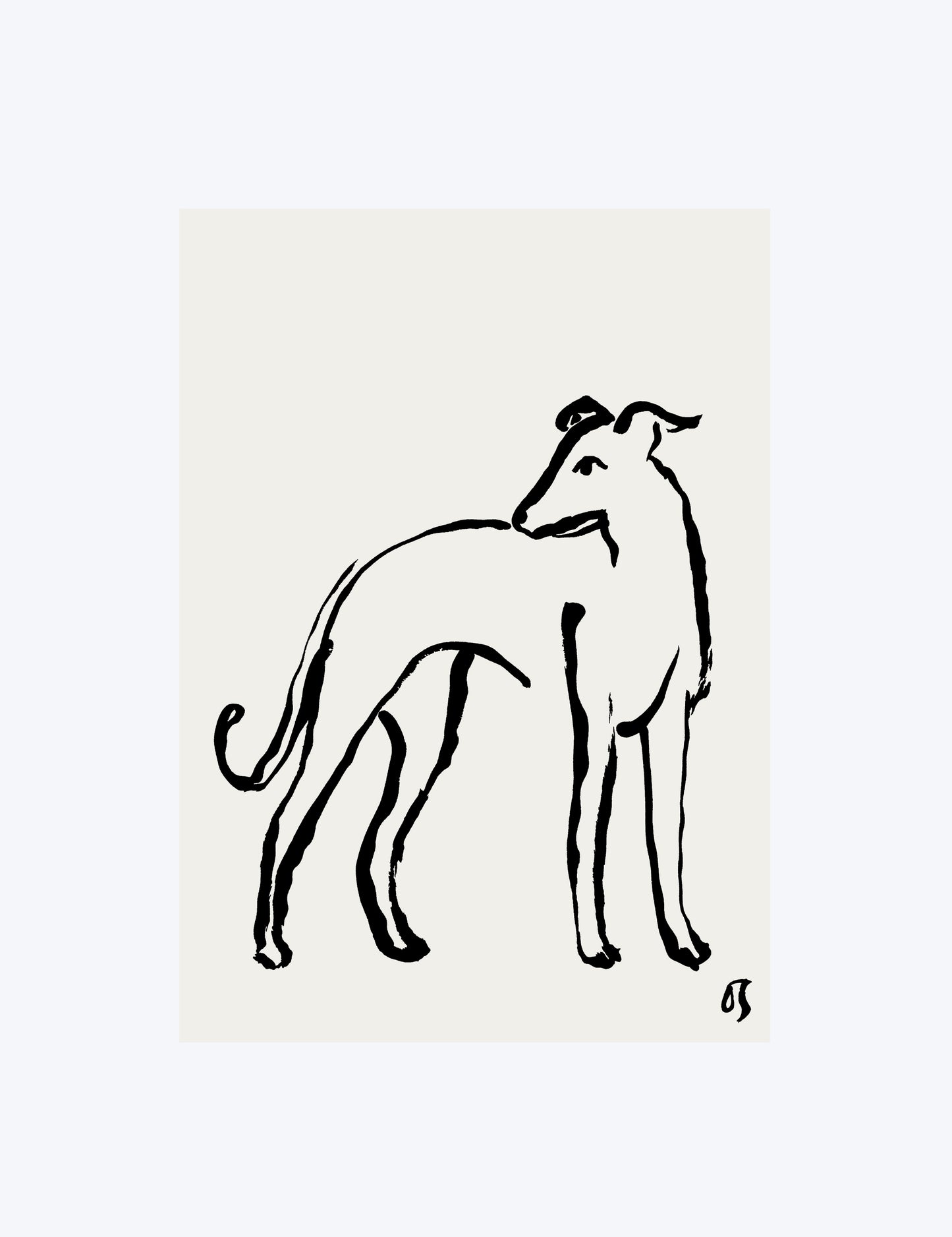 The Whippet