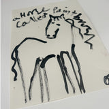 A Horse Called Paintbrush